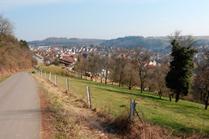Thaleischweiler-Fröschen